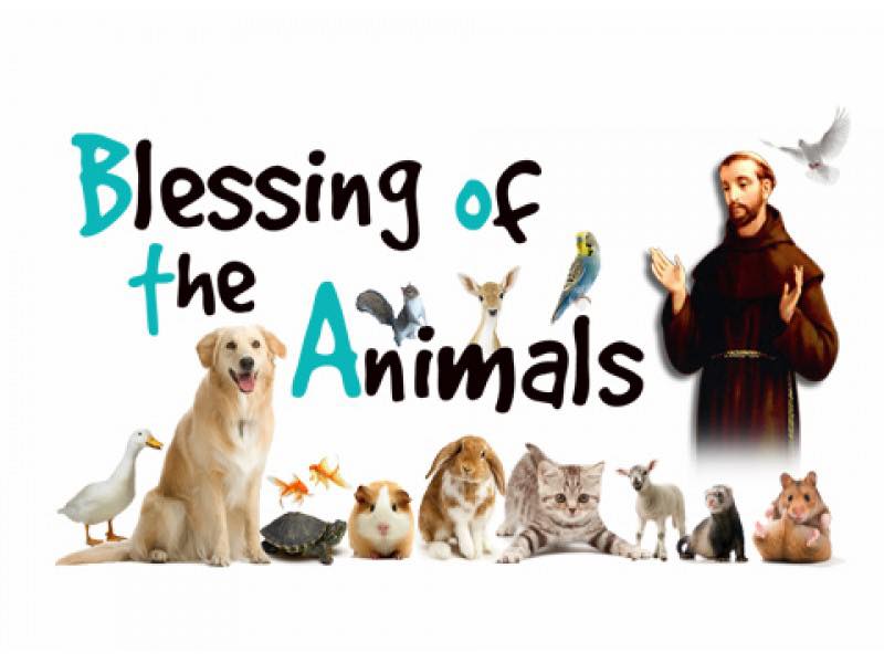Blessing_Pets