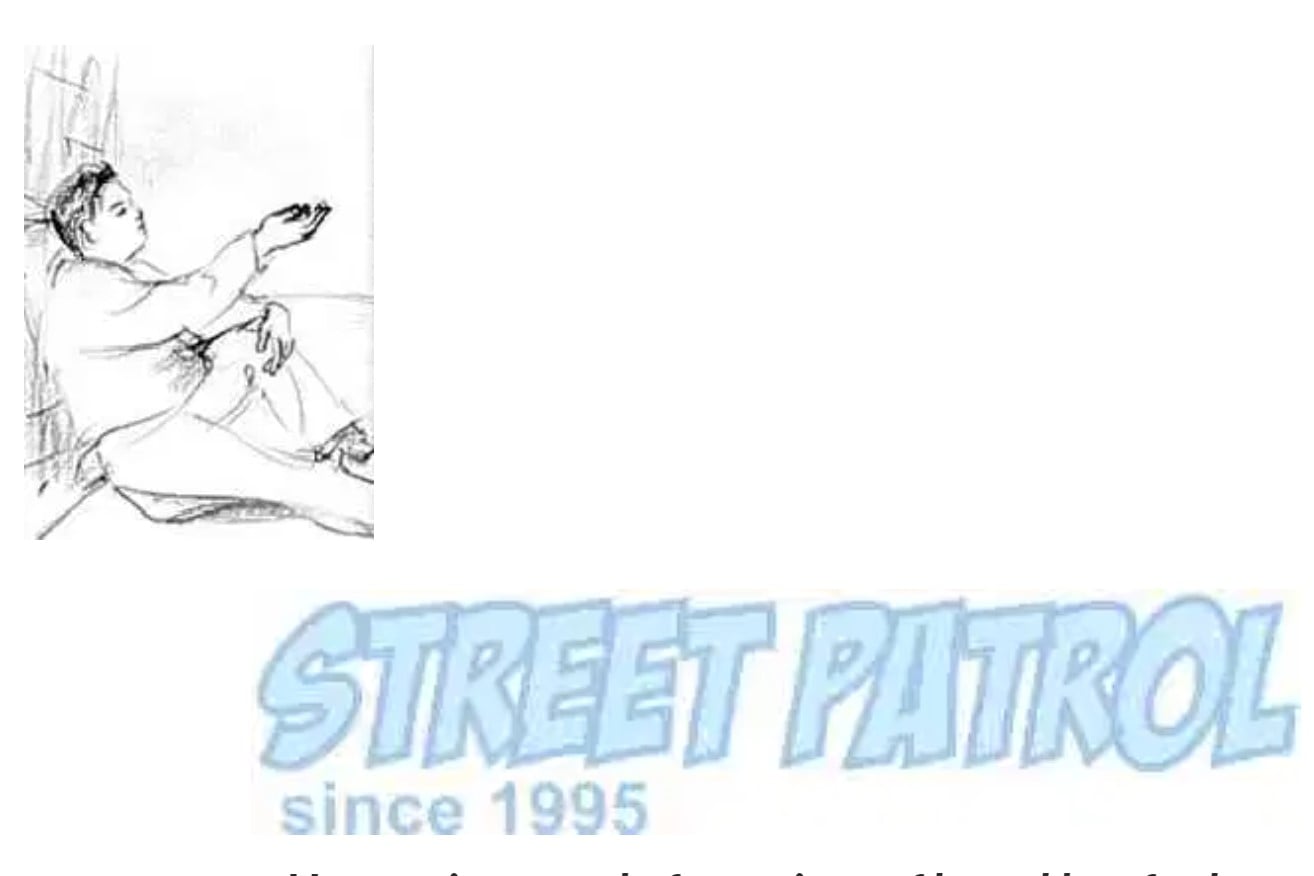 Summer Street Patrol Logo